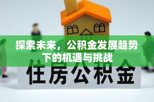 依兰探索未来，公积金发展趋势下的机遇与挑战