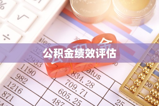 依兰公积金绩效评估