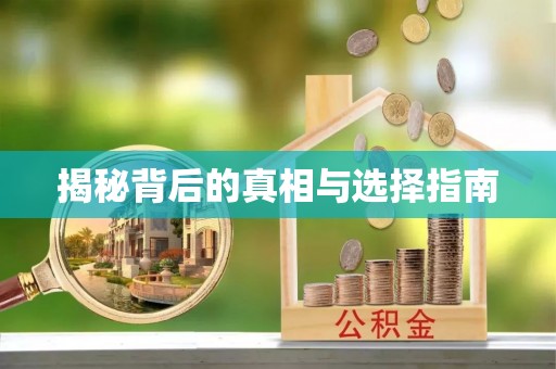 依兰揭秘背后的真相与选择指南