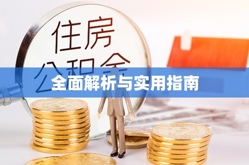 依兰全面解析与实用指南
